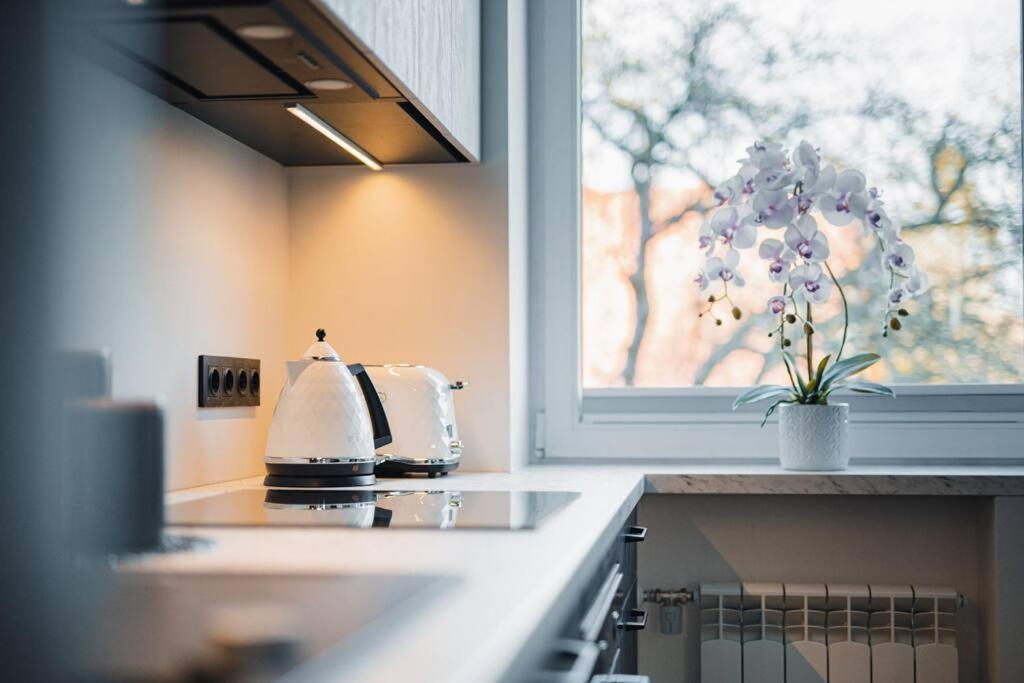 New Luxury 3Br Apartment In Old Town, Free Parking Хаапсалу Екстер'єр фото